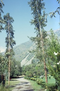 0064 kemp u řeky Maipo.jpg